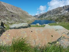 roche insta merv paysg.jpg