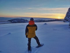 WhatsApp Image 2025-12-17 at 15.46.40.jpeg