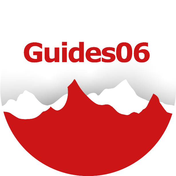 Logo Guides06